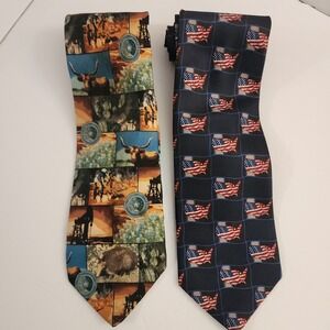 Lot of 2 Mens Ties Texas‎ Themed and American Flag USA Patriotic Silk
